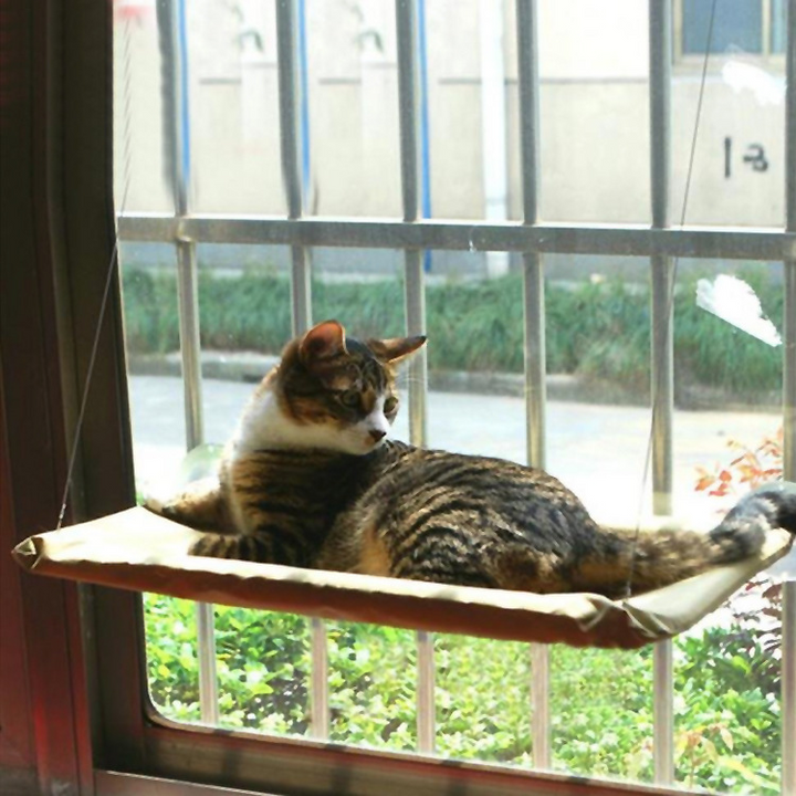 Cat Window Bed - MAEZTOZO