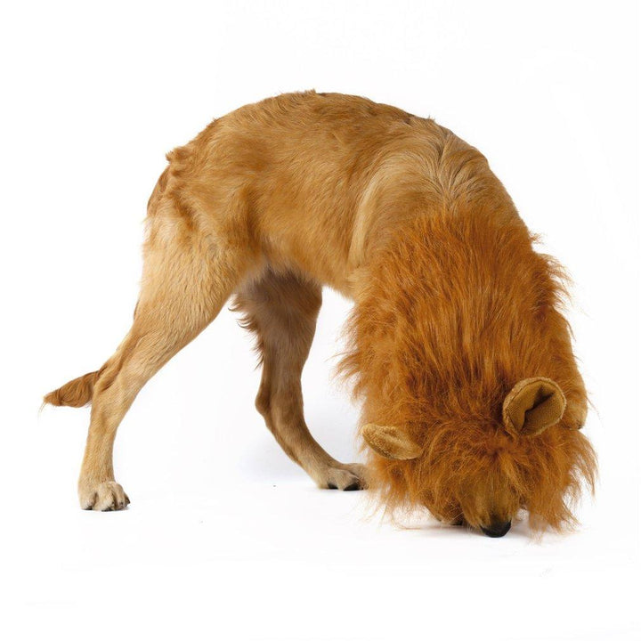 Lion Theme Dog Wig - MAEZTOZO