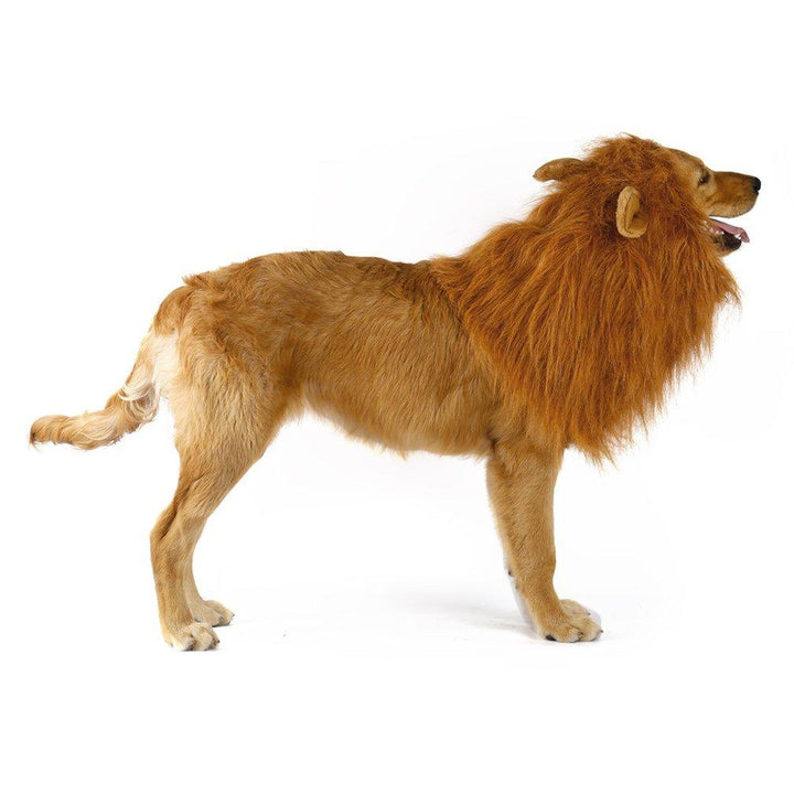 Lion Theme Dog Wig - MAEZTOZO