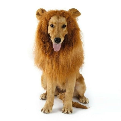 Lion Theme Dog Wig - MAEZTOZO