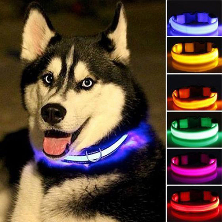 2 PCS Set Nylon LED Dog Collar - MAEZTOZO