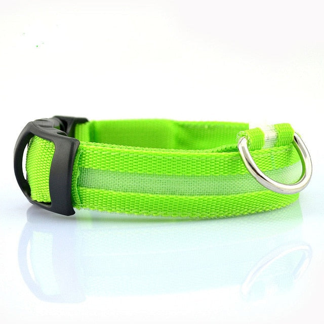 2 PCS Set Nylon LED Dog Collar - MAEZTOZO