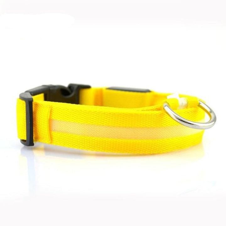 2 PCS Set Nylon LED Dog Collar - MAEZTOZO