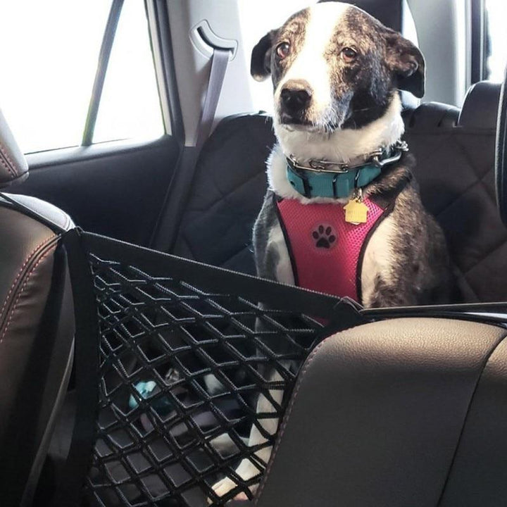 High Quality Premium Pet Car Net Petition - MAEZTOZO