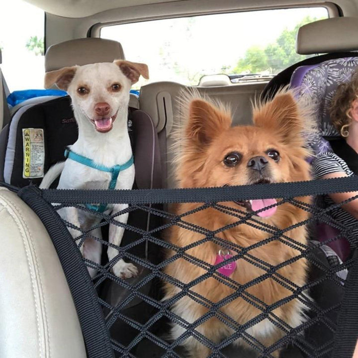 High Quality Premium Pet Car Net Petition - MAEZTOZO