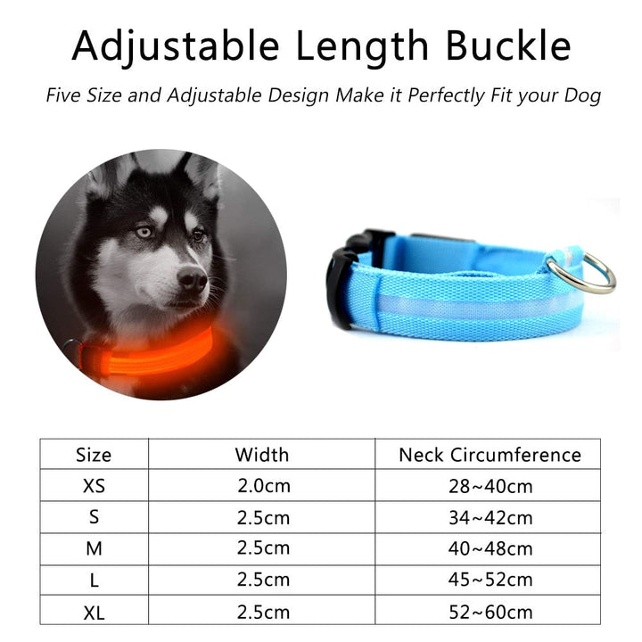 2 PCS Set Nylon LED Dog Collar - MAEZTOZO