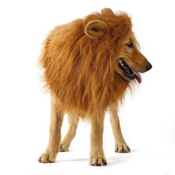 Lion Theme Dog Wig - MAEZTOZO